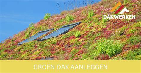 Infographic over groendaken: structuur, lagen, en voordelen
