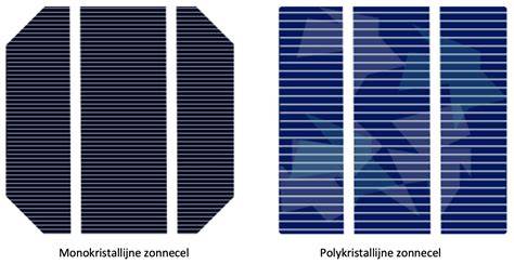 Infographic: Vergelijking monokristallijn vs polykristallijn panelen