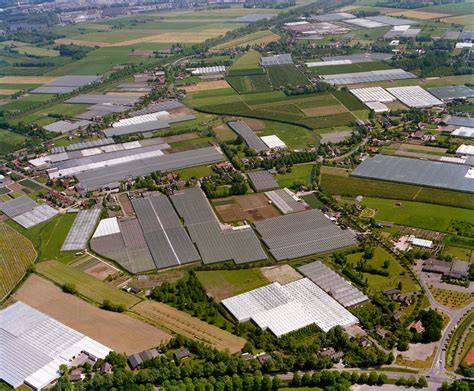 tuinbouw en veiling rondom Station Vleuten