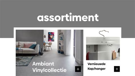 Infographic: assortiment en service van Ambiant Arnhem
