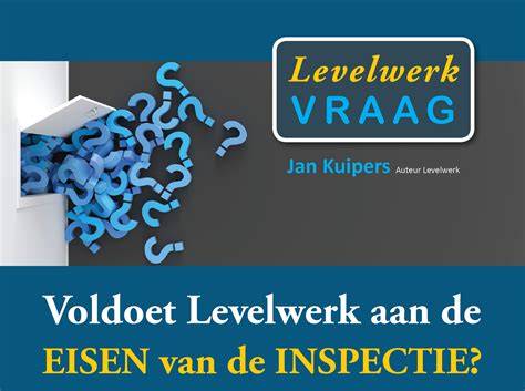 Infographic overzicht van het stucadoorproces: van inspectie tot eindafwerking