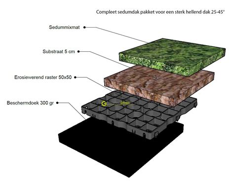 Gedetailleerde illustratie van de opbouw van een sedumdak met verschillende lagen