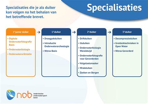 Infographic: Overzicht loodgieter's werkprocessen en specialisaties