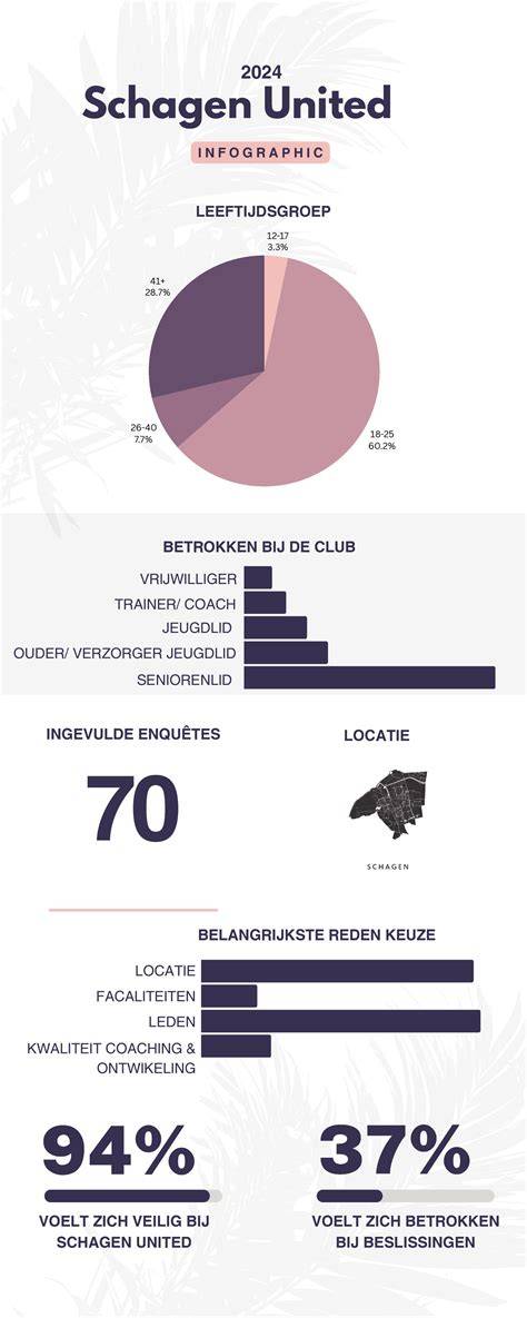 Infographic kostenopbouw schoorstenen schagen