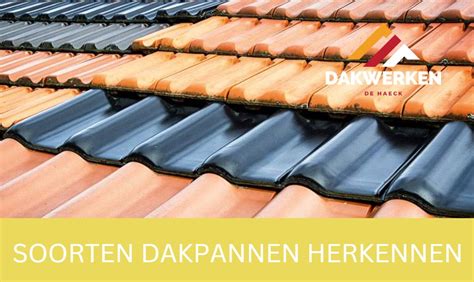 Illustratie van verschillende soorten dakproblemen: lekkage, losse dakpannen, verstopte dakgoot