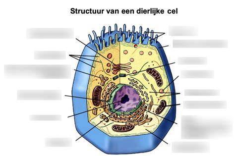Infographic: werking van PUR gesloten-cellulaire structuur