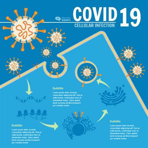 Infographic: COVID-19 en A-ziekte aanpak onder de Wpg