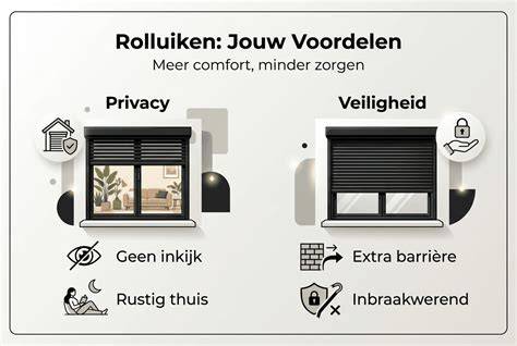 Ambiance rolluiken: kleur- en kastopties infographic