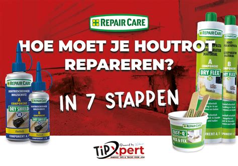 illustratie: overzicht stappen houtrot herstel met impregneerapparatuur