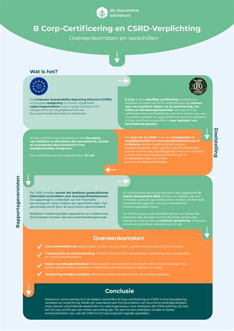 Infographic over de montageprocessen en verschillen tussen zelf monteren en montage service
