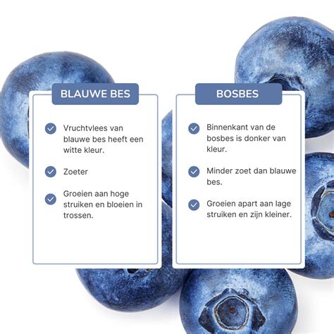 Illustratie van een blauwe ijsklomp die kan ontstaan bij een niet goed gesloten tankklep van een vliegtuigtoilet.