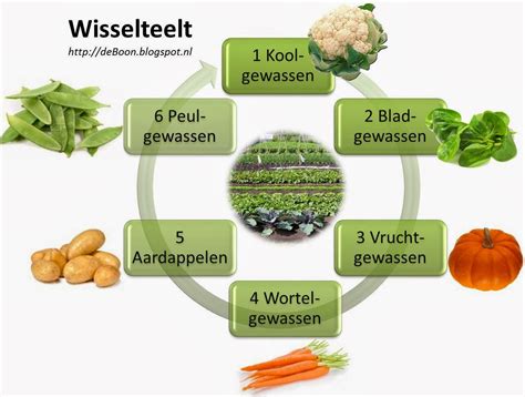 Schema: 5-groepen wisselteelt met volgorde Aardappelen â Peulgewassen â Kool- en bladgewassen â Vruchtgewassen â Wortelgewassen