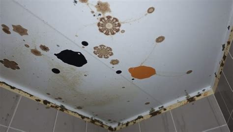 Schema van vochtophoping en schimmelgroei in een slecht geventileerde badkamer.