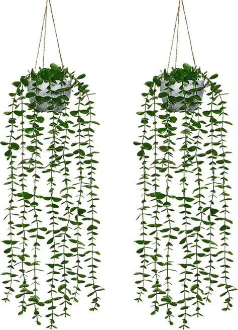 Groene voordeur met hangplanten en potten