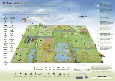 Infographic: Buitenloopvarkens en stille weide »Tamworth en lokale gewassen als bouwstenen