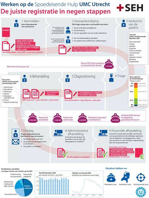 Infographic: Luchtveringsysteem en diagnose-stappen
