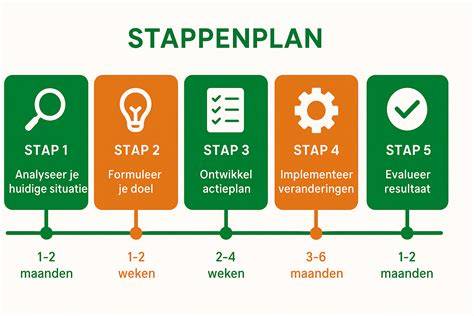 infographic: stappenplan tuinbestrating in 5 fases