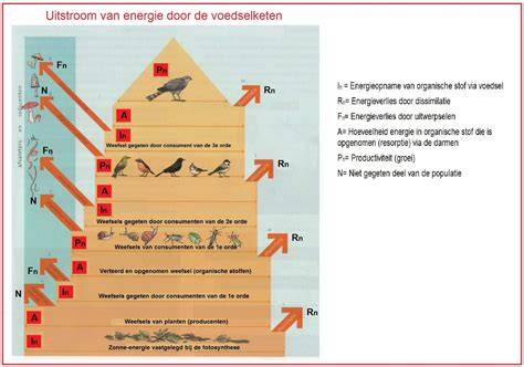 Grafiek: geluidsreductie niveau van verschillende ondervloeren