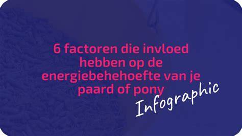 Infographic: factoren die invloed hebben op zettingen bij fundering op staal