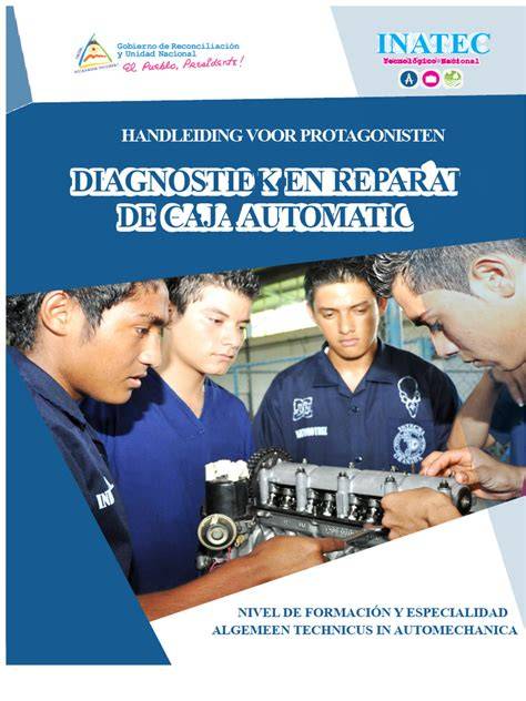 Infografiek: Oorzaken en diagnose automatische transmissie