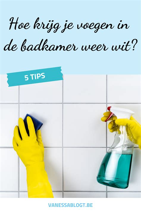 Illustratie van verschillende soorten vuil in voegen: zeepresten, kalkaanslag, schimmel.