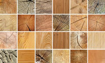 Overzicht van verschillende houtsoorten voor schuttingpoorten