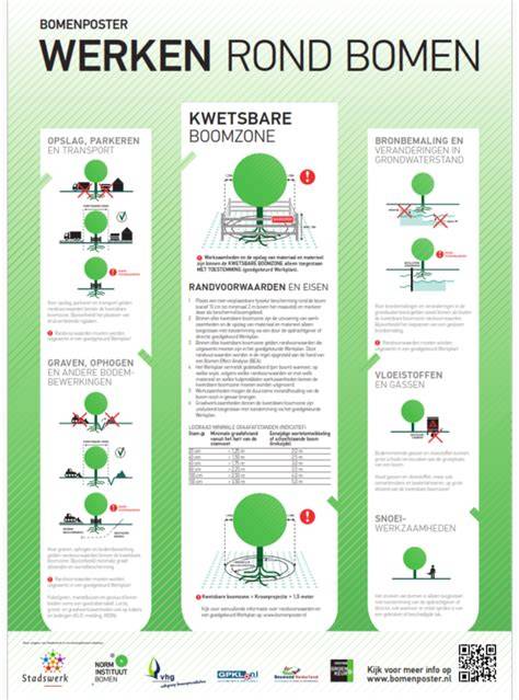 Infographic: Overzicht van 9 methodes voor het opvullen van schroefgaten in hout