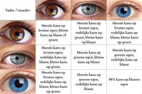 Overzicht van stucplaten en kenmerken: bruine kleur, blauwe stempel, grijze voorkant