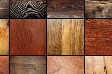 Infographic die de levensduur en onderhoudsbehoefte van verschillende houtsoorten voor schuttingen vergelijkt.