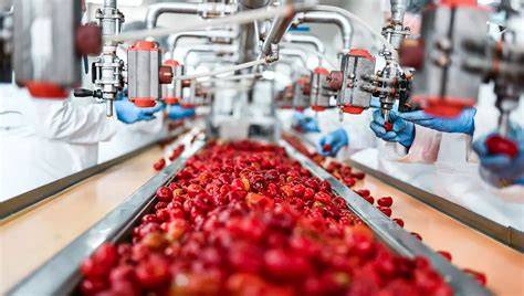 Toekomstbestendig ondernemen in de voedselindustrie
