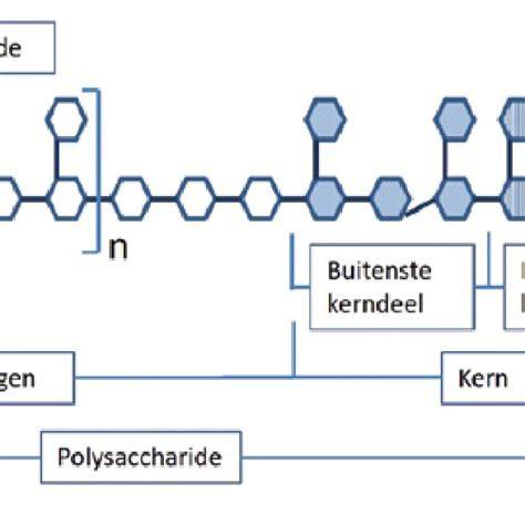 Diagram: Vochtregeling bij parketonderhoud