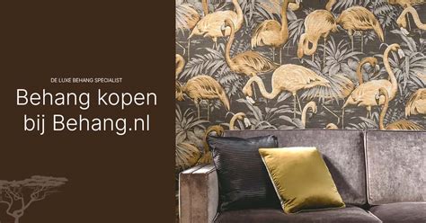 Infographic: Soorten behang en finishs (glans versus matte) gecombineerd met gouden accenten
