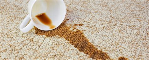 Visuele gids voor het verwijderen van verschillende soorten vlekken op linoleum.