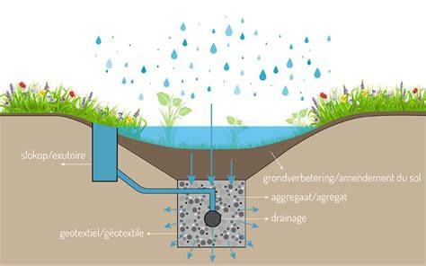 Illustratie: Voor- en na-ontwerp van drainage in een tuin