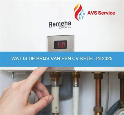 Infographic: overzicht van keteltypes en hun warmwaterprincipe