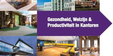 Infographic: Voordelen van duurzame kantoren voor welzijn en productiviteit