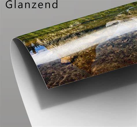 Vinylbehang visuals met vissen en luxe afwerking