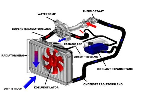 Infografiek: Onderhoudsschema voor koelsysteem en radiator