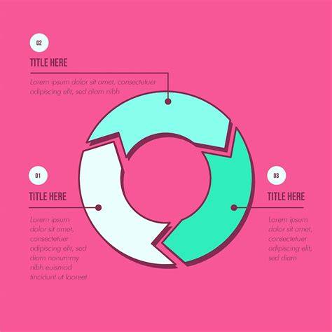 Infographic: Tarieven en processtappen Ontstoppingsdienst Goes