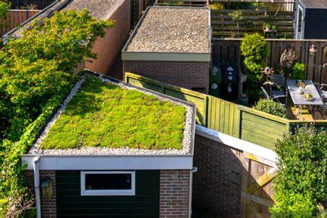 Teamwork en collectieve aanpak: buurtinitiatief voor groene daken