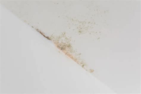 Thermografische opname die een verborgen lekkage achter een muur laat zien