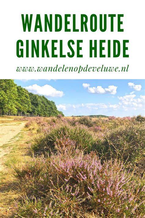 Infographic met parkeerregels en parkeertarieven voor de Ginkelse Heide