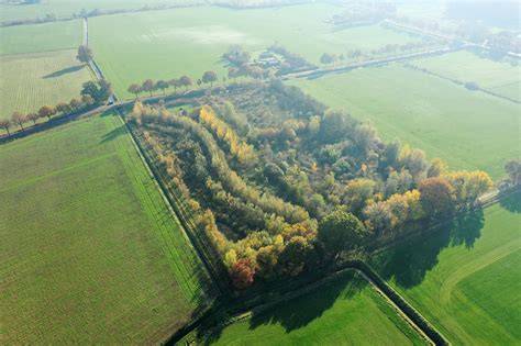 Afbeelding van voedselbos Ketelbroek met meer dan 350 plantensoorten