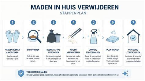 Schema: stappenplan schimmel verwijderen en voorkomen