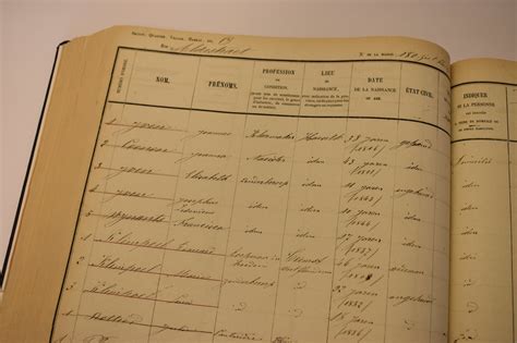 Genealogie, stadsarchief en boekhistorie als biografisch netwerk