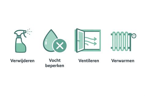 Infographic: Schimmel bestrijden in badkamervoegen