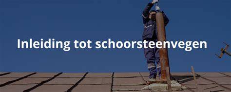 Infographic: Vegrichtingen en veiligheid bij schoorsteenvegen