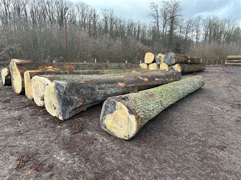Schematische afbeelding van kruislings verlijmde lagen in verschillende houtsoorten