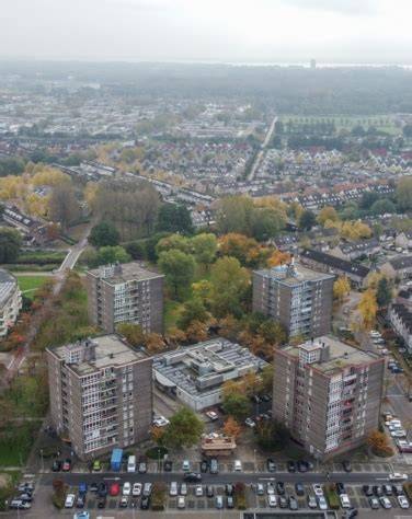 Infografiek van fasering en participatieprocessen van groot onderhoud Muziekwijk Zuid