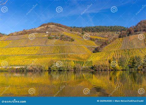 Beelden van wijnvelden in Wallis met de Rhône op de achtergrond